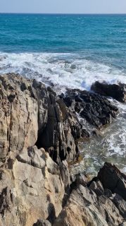 2024-01-Paseo_Costa_Canaria-San_Agustin-Ingles-073.jpg